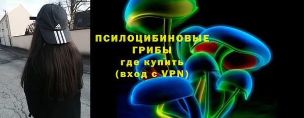 твердый Семёнов