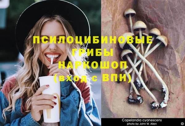 ешки Семикаракорск