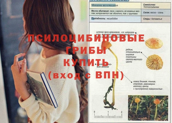дмт Абинск