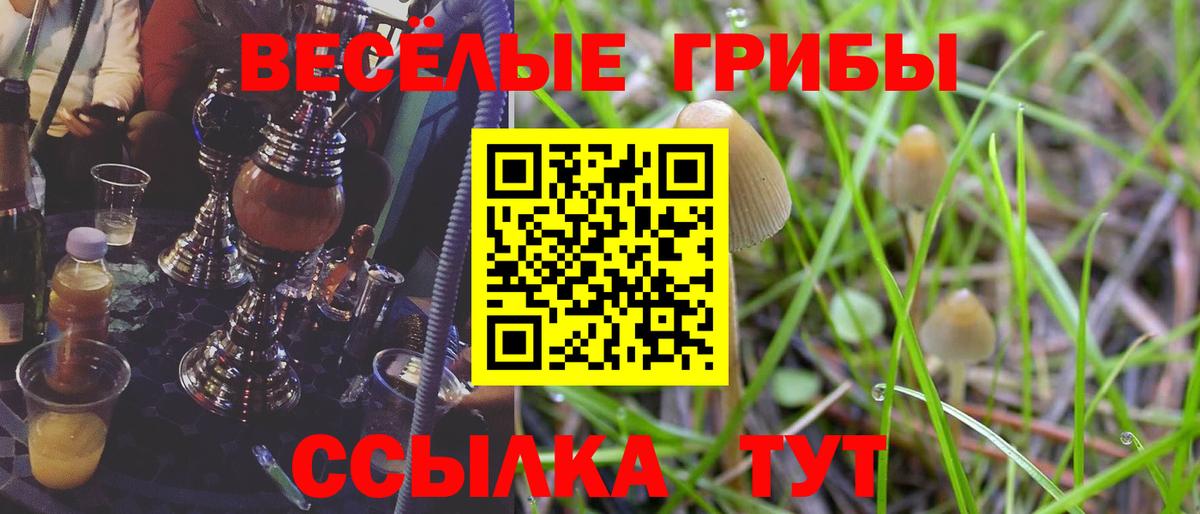 Гагарин  Псилоцибиновые грибы GOLDEN TEACHER  Вход с VPN  Псилоцибиновые грибы прущие грибы 