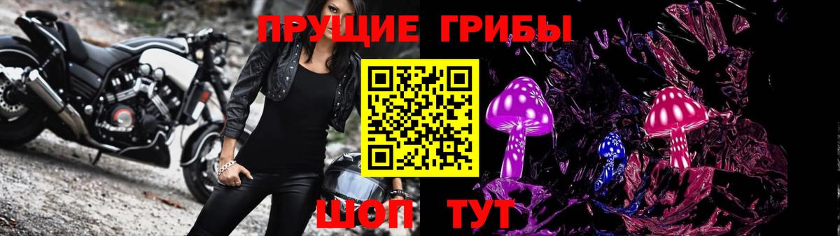 Псилоцибиновые грибы Psilocybine cubensis Гагарин
